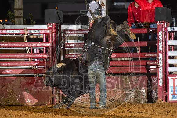 2024 Cowtown Rodeo_BR__587-AndreSilva