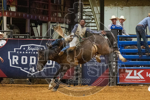 06_08_19_Mesquite_BR_BodedLammers_113_Silva