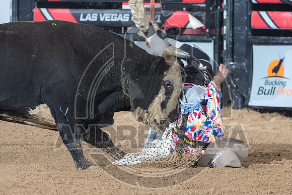 04_UBF_Las_Vegas_241