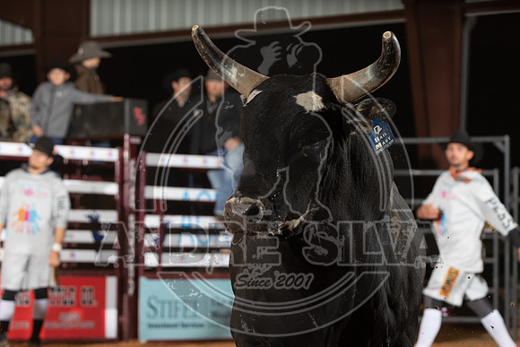 2021_Nov_13_Wall_Street_Ranch_124