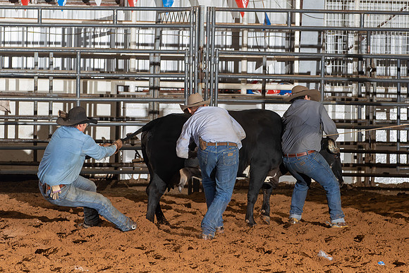 2024_Nov_02_Quin_McCoy_058