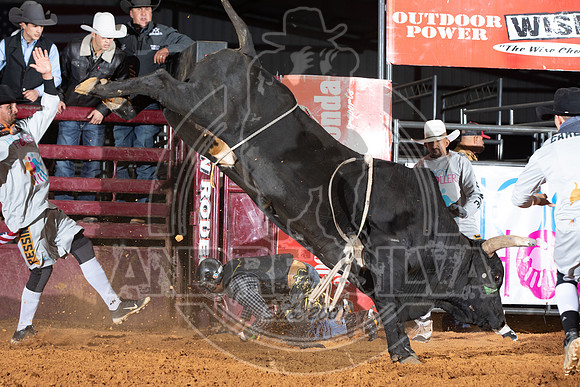 2021_Nov_13_Wall_Street_Ranch_096