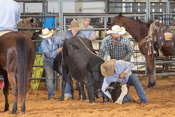 2024_Nov_02_Quin_McCoy_085