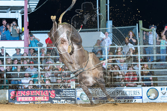 2025_CowtownRodeo_Pilesgrove_NJ_BR__AS_296