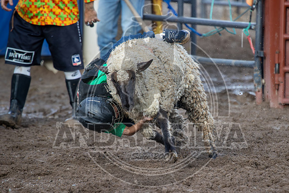 2024 Eagle_Mutton Busting_1598-AndreSilva