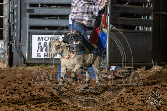 06_14_19_Cleburne__283_Silva