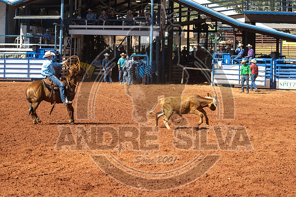 2024_July_02_Team_Roping_141