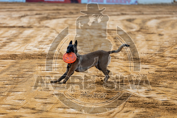 2025_August_02_Cowtown_Rodeo_130