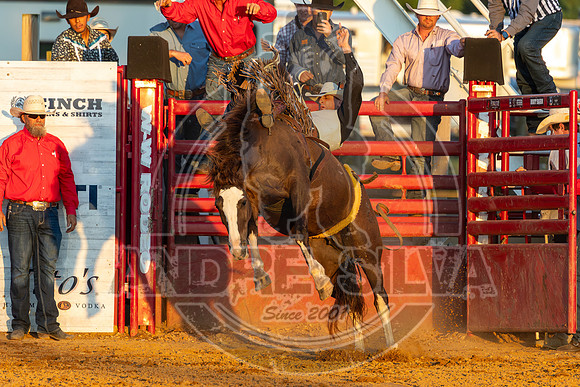 2025_August_09_Cowtown_Rodeo_020