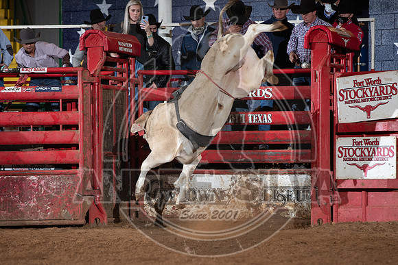 2021_Jan_01_ABBI_145