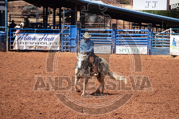 2024_July_06_Ranch_Horse_Competition_3947