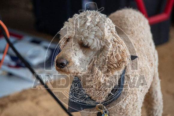 20_May_09_ABBI_305