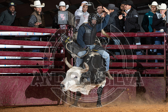 2021_Nov_13_Wall_Street_Ranch_118