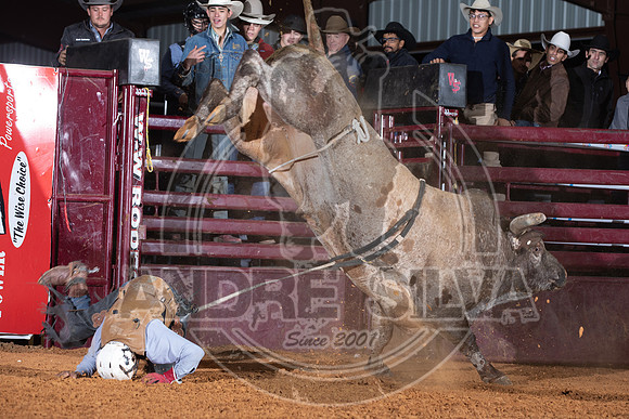 2021_Nov_13_Wall_Street_Ranch_127