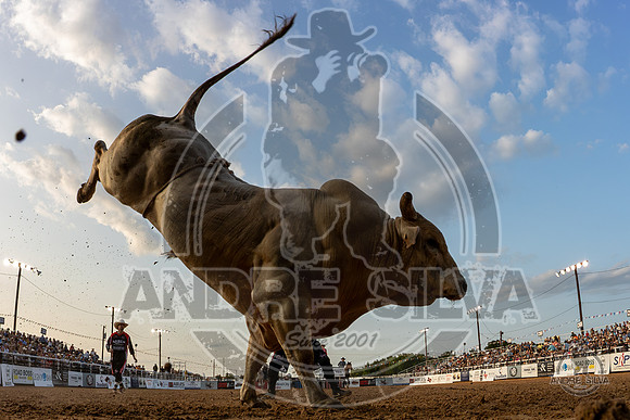 2025_May_31_Decatur_TX_674