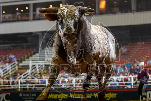 2021Mesquite_R01_BR_Paul Torres_306