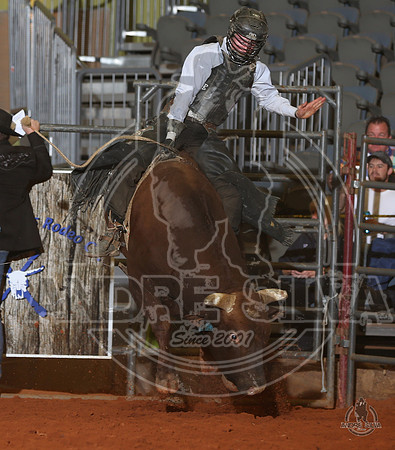 SIL_0367