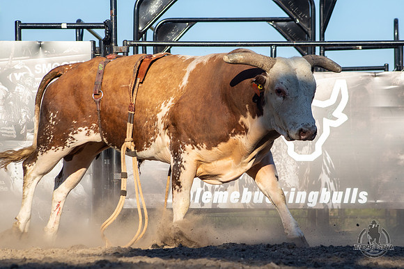 AS5_1003