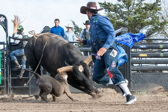 Leme_Ranch_02_25_2020_017
