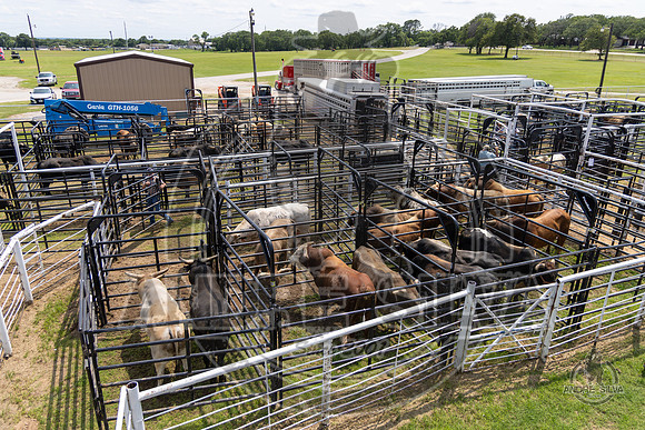 2025_May_31_Decatur_TX_832