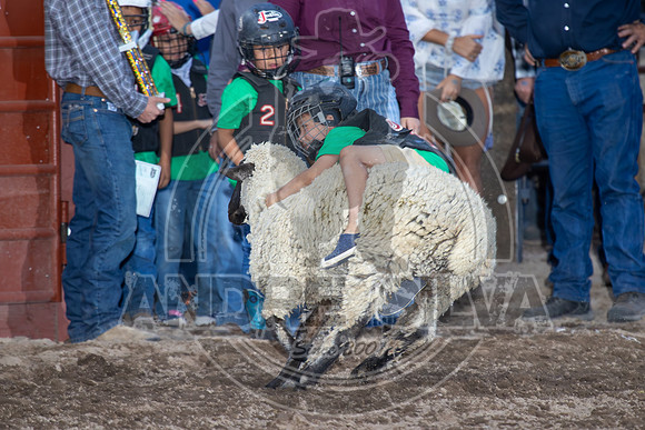 24_July_25_Eagle_CO_142
