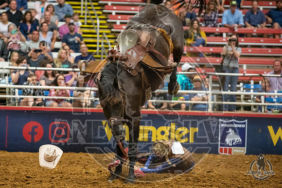 06_29_19_Mesquite_WBR_Jessica Sutton__142_Silva