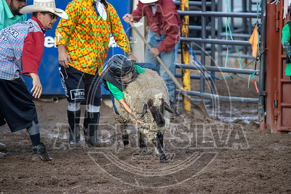 2024 Eagle_Mutton Busting_1597-AndreSilva