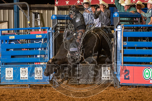 2020_06_06_Mesquite_Bulls_Riding_Alex Cardozo_550_Silva
