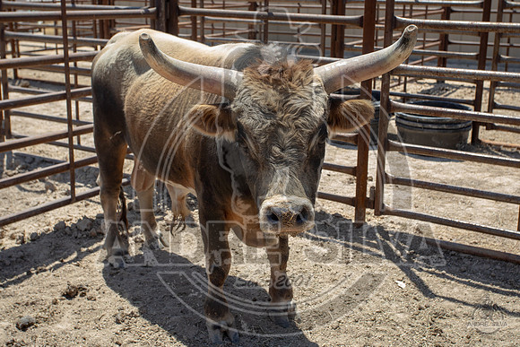 CC0A0104