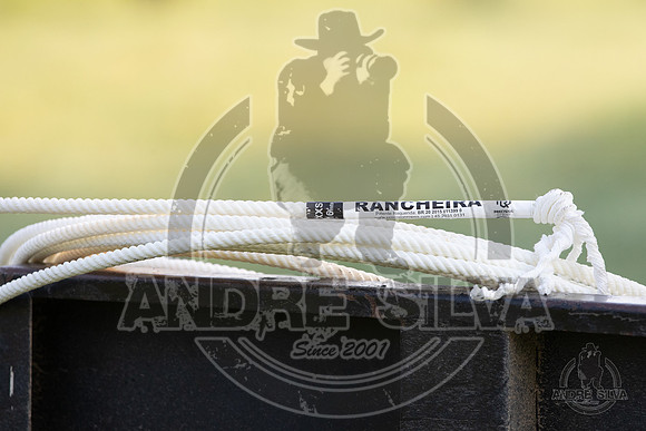 2021_Jun_18_Jeff_Cows_006