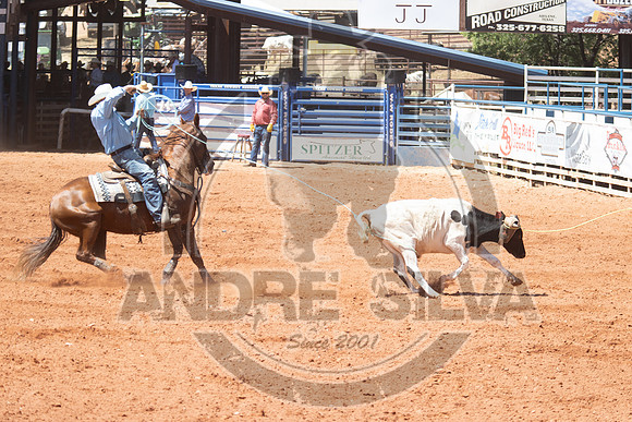 2024_July_02_Team_Roping_321