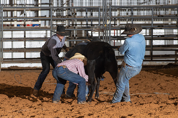 2024_Nov_02_Quin_McCoy_092