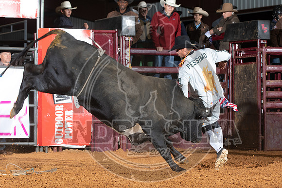 2021_Nov_13_Wall_Street_Ranch_057