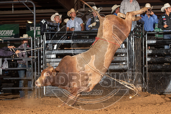 2020_Aug_29_ABBI_150