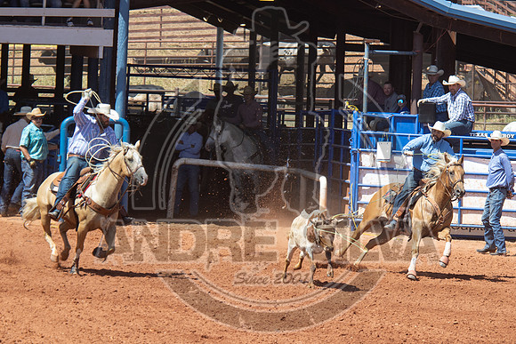 2024_July_02_Team_Roping_231