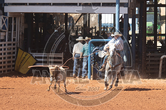 2024_July_02_Team_Roping_166