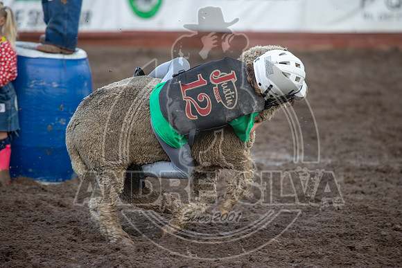 2024 Eagle_Mutton Busting_1615-AndreSilva