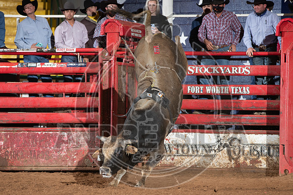 2021_Jan_01_ABBI_136