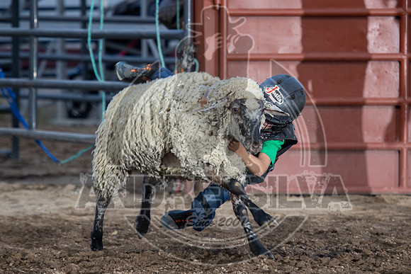 24_July_25_Eagle_CO_153