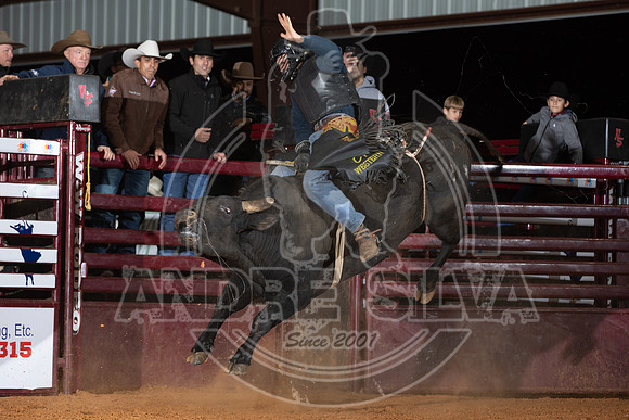 2021_Nov_13_Wall_Street_Ranch_069
