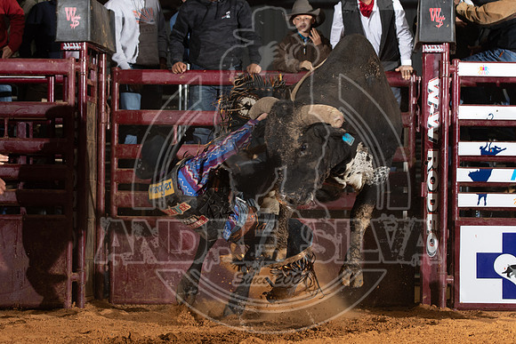 2021_Nov_13_Wall_Street_Ranch_098
