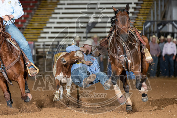 2020_06_13_Mesquite_Steer_Wrestling_Jesse_Brown_118_Silva