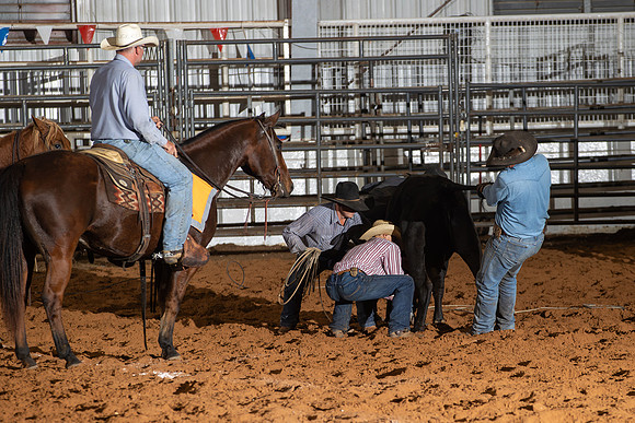 2024_Nov_02_Quin_McCoy_091