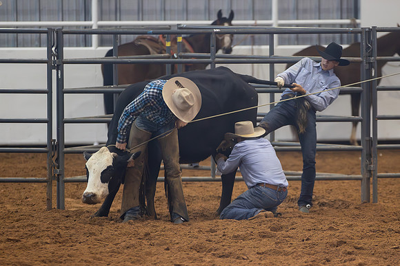 2024_Nov_02_Quin_McCoy_115