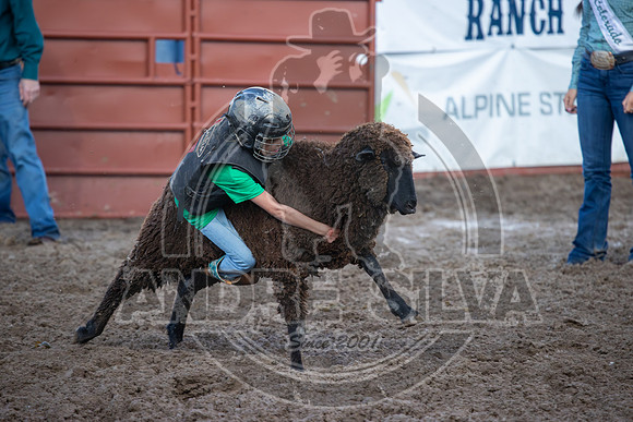 2024 Eagle_Mutton Busting_1626-AndreSilva