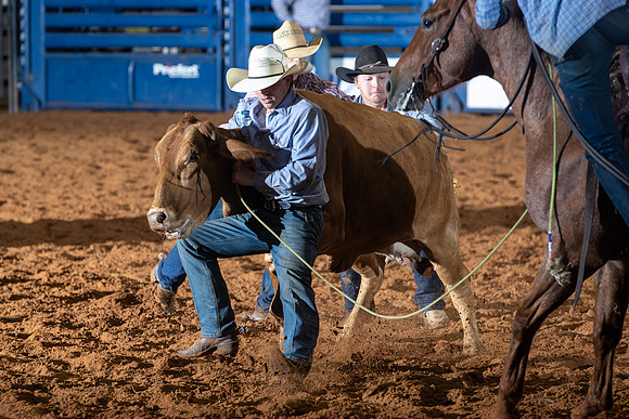 2024_Nov_02_Quin_McCoy_080