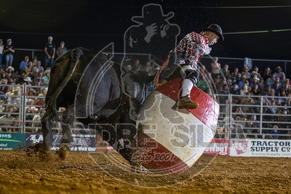 2024 Cowtown Rodeo_BR__591-AndreSilva