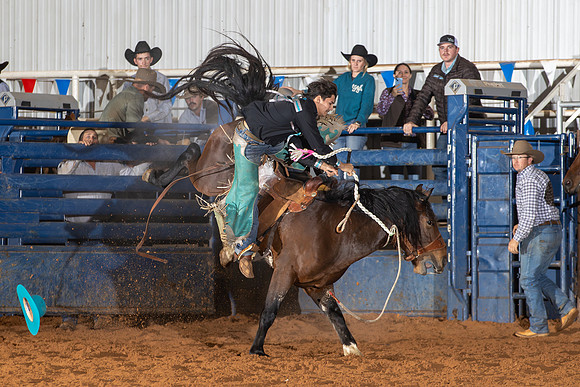 2024_Nov_02_Quin_McCoy_148
