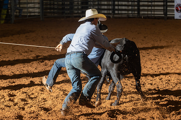 2024_Nov_02_Quin_McCoy_155