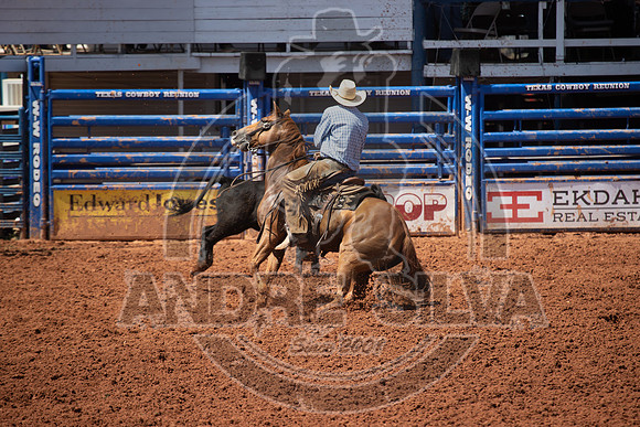 2024_July_06_Ranch_Horse_Competition_4001